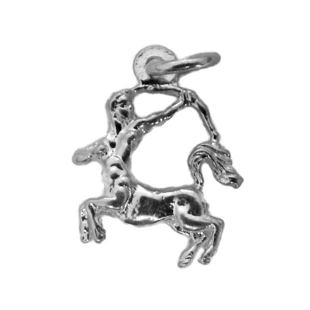 Sagittarius Horoscope Zodiac Sign Unisex Pendant